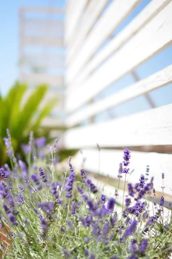 Bed & Breakfast Lo Spazio Di Mima Noto
