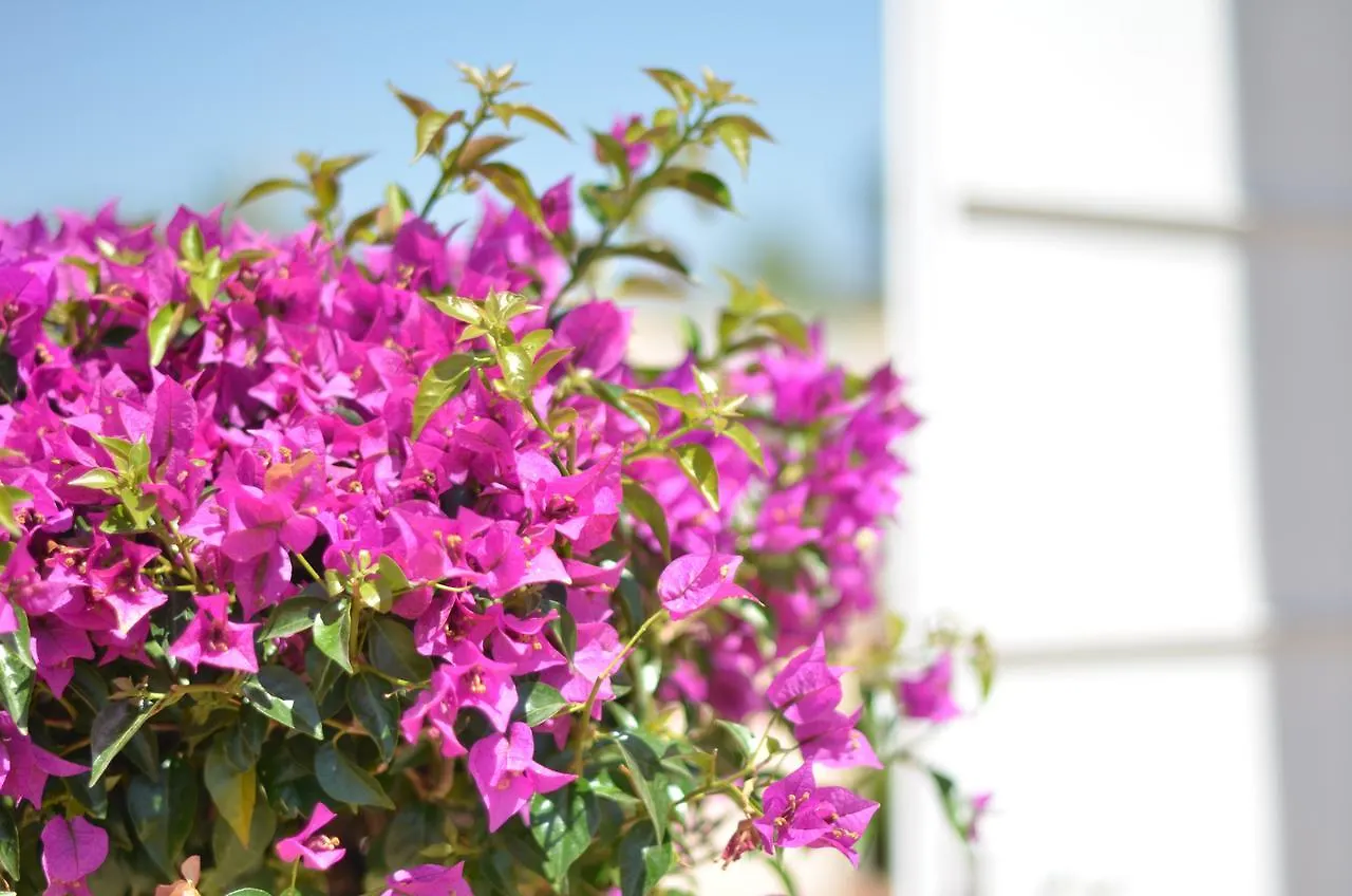 Bed & Breakfast Lo Spazio Di Mima Noto